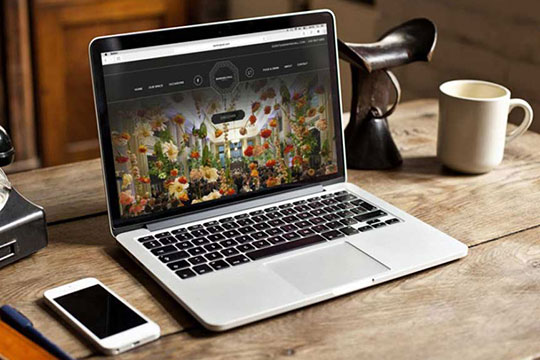 website development near me